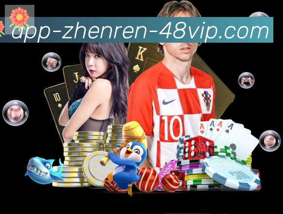App功能展示图
